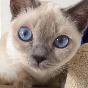 Meet your Posher, Bonnie